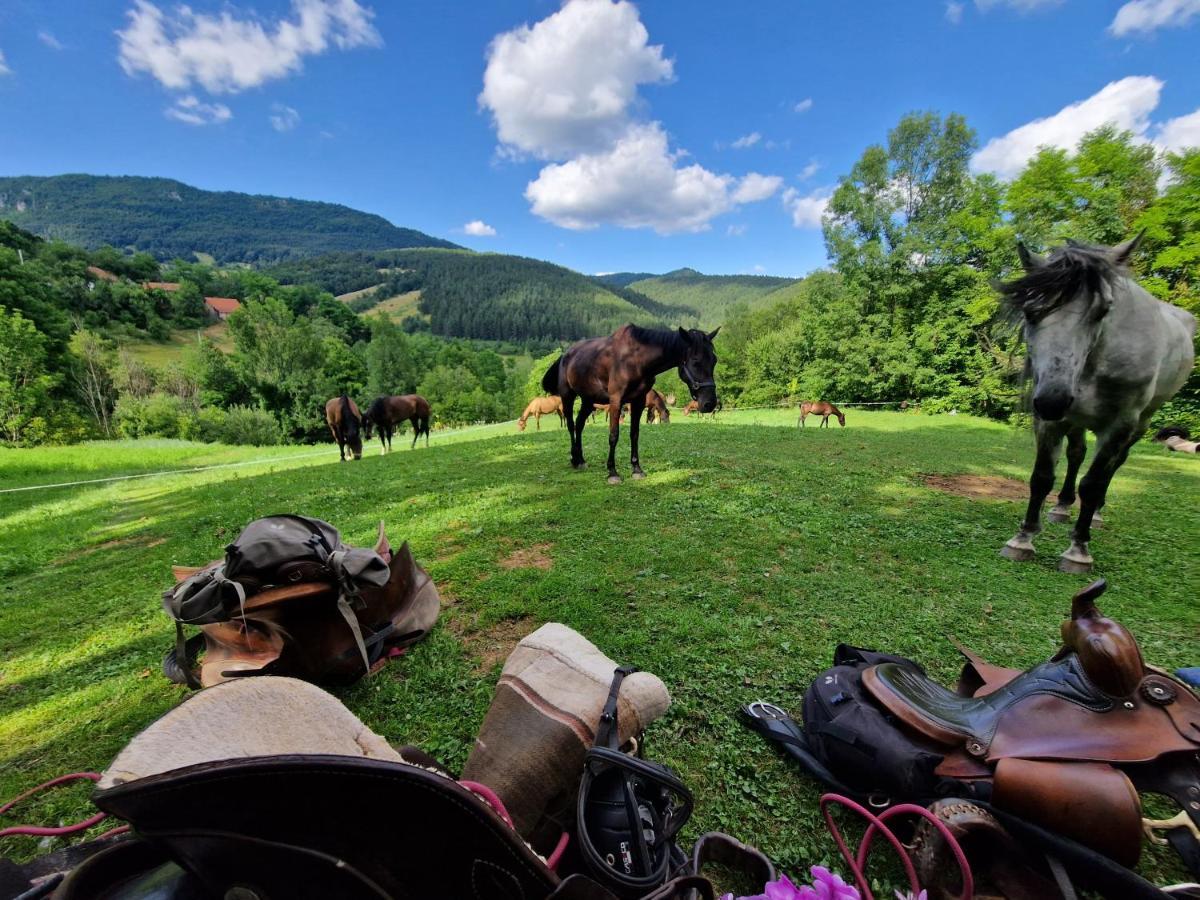 Dome Home Tents Taor Valjevo Eksteriør bilde